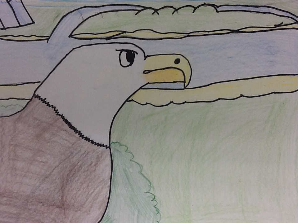 Grande Park Art: 4th Grade Eagle Project